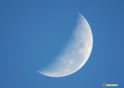 9th Feb 2018 - another day moon