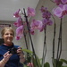 orchids and me