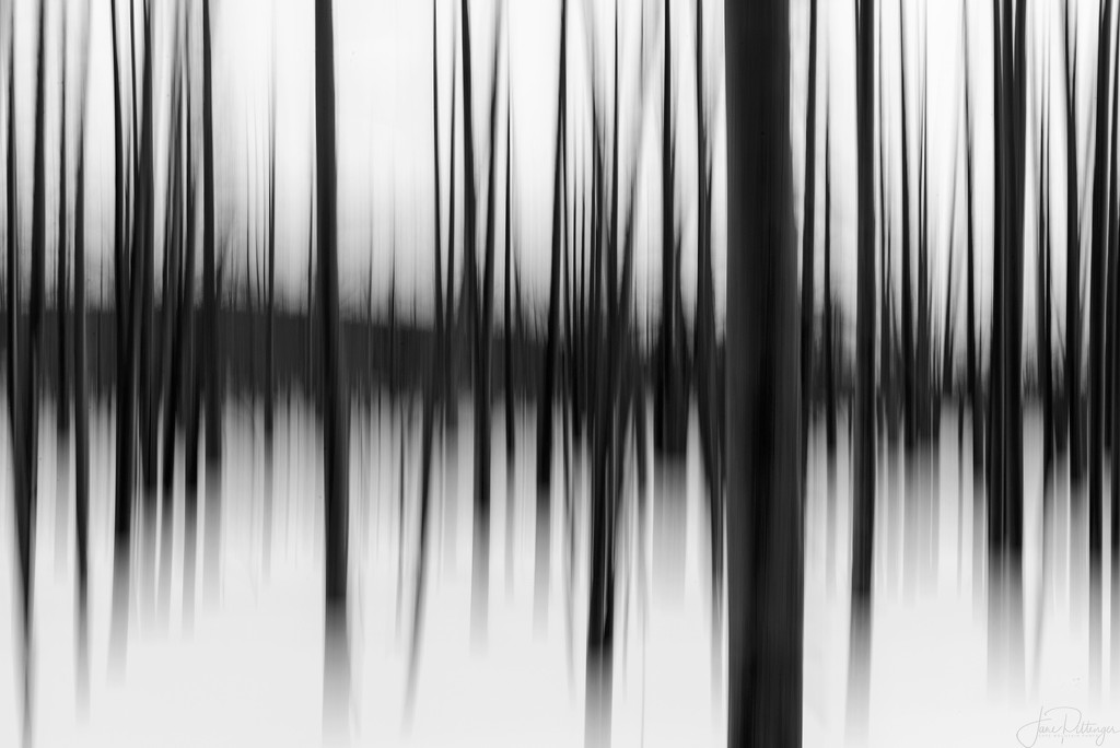 Black and White ICM by jgpittenger