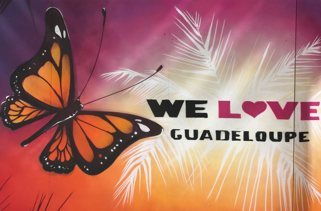 We love Guadeloupe.  by cocobella