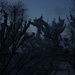 Pre-Dawn Snow Covered Branches by bjchipman