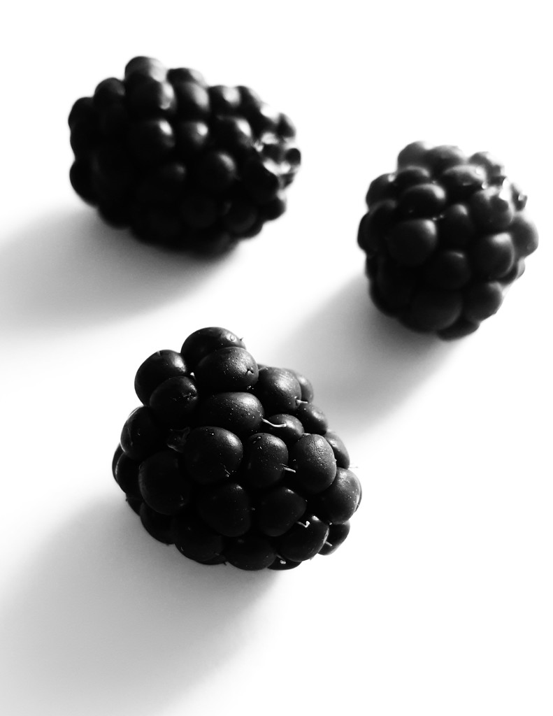 Black berries... by m2016