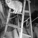 Old Kitty Still A Climber by bjchipman
