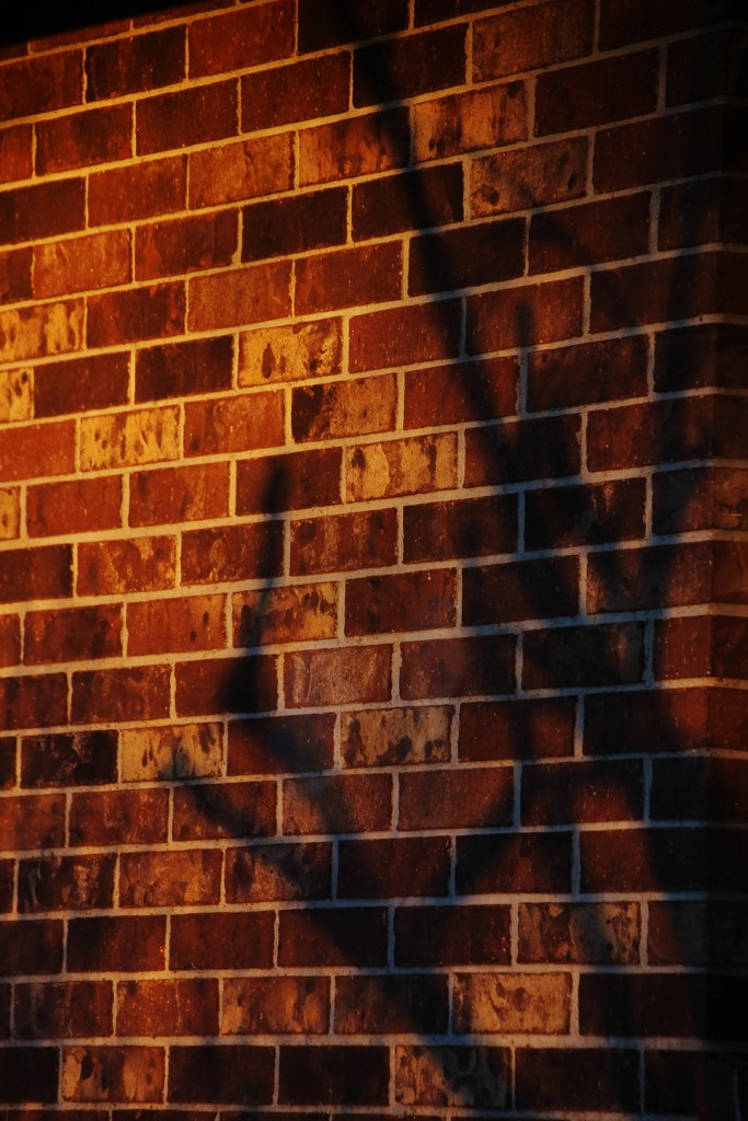 Sunset Shadows On Brick by bjchipman