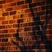 Sunset Shadows On Brick by bjchipman