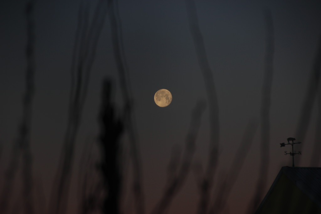 Full Moon At Sunrise by bjchipman