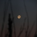 Full Moon At Sunrise by bjchipman