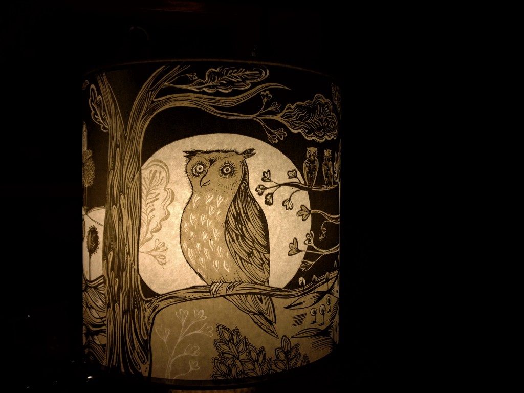 Night owl by happypat