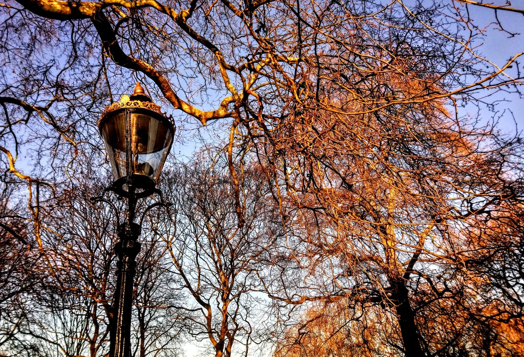 Narnia lamp post by boxplayer