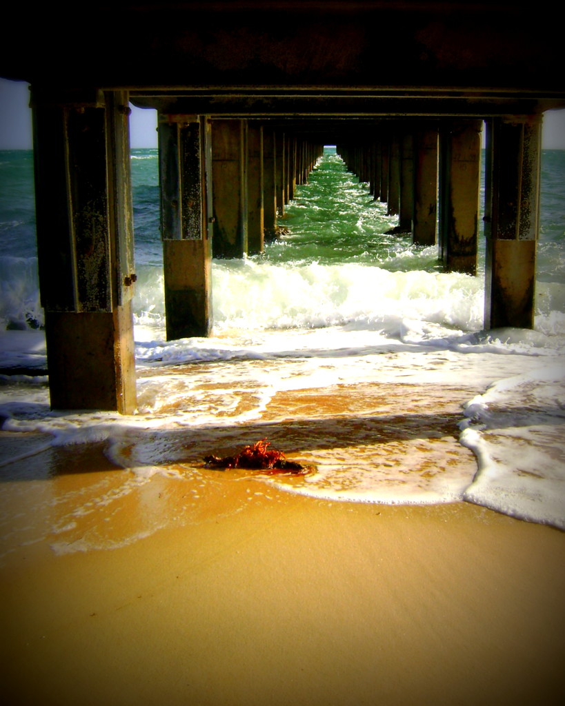 Under the Boardwalk by marguerita