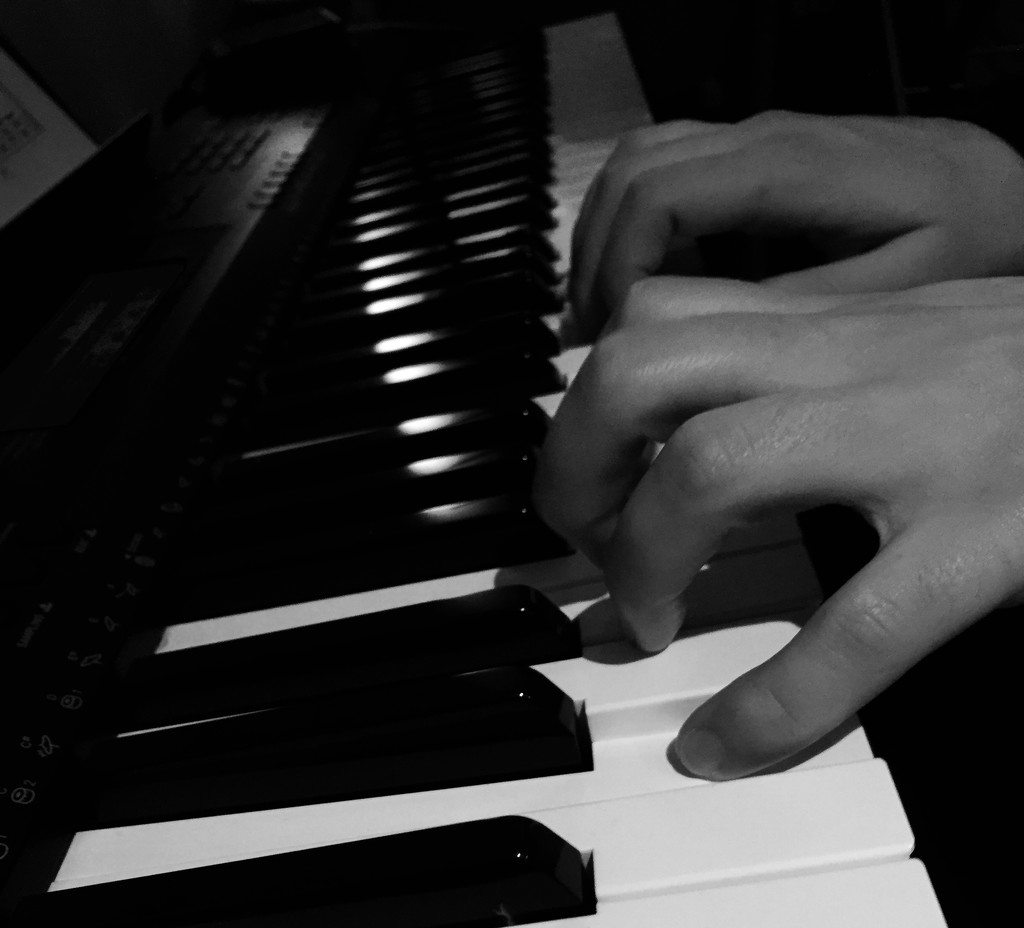 Piano Practice by bilbaroo