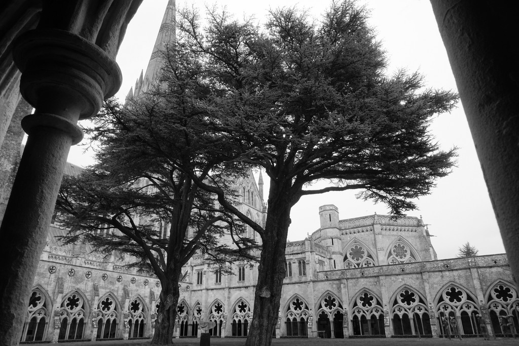 a shot of Salisbury Cathedral by quietpurplehaze