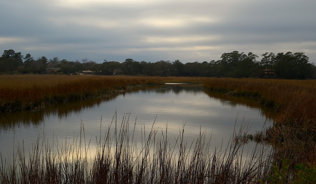 Tidal creek, marsh and clouds by congaree