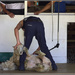 The Shearing Competition by dide