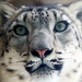 Snow Leopard Close Up by randy23