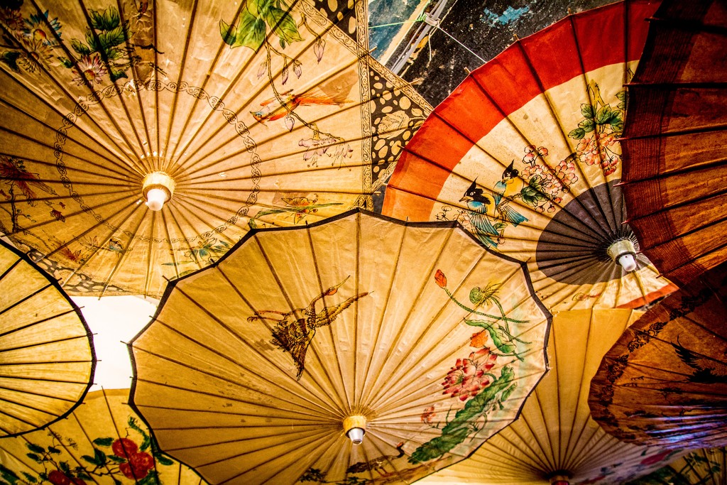 Parasols #3 by swillinbillyflynn