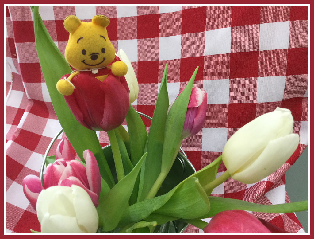Winnie and The Tulip by allie912