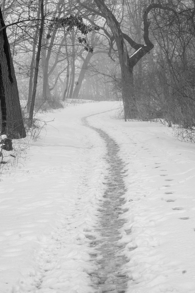 Icy Path BW by rminer
