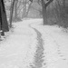 Icy Path BW by rminer