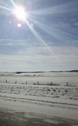 15th Feb 2018 - Winter Prairie