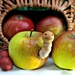 A Worm in my Apple. by wendyfrost