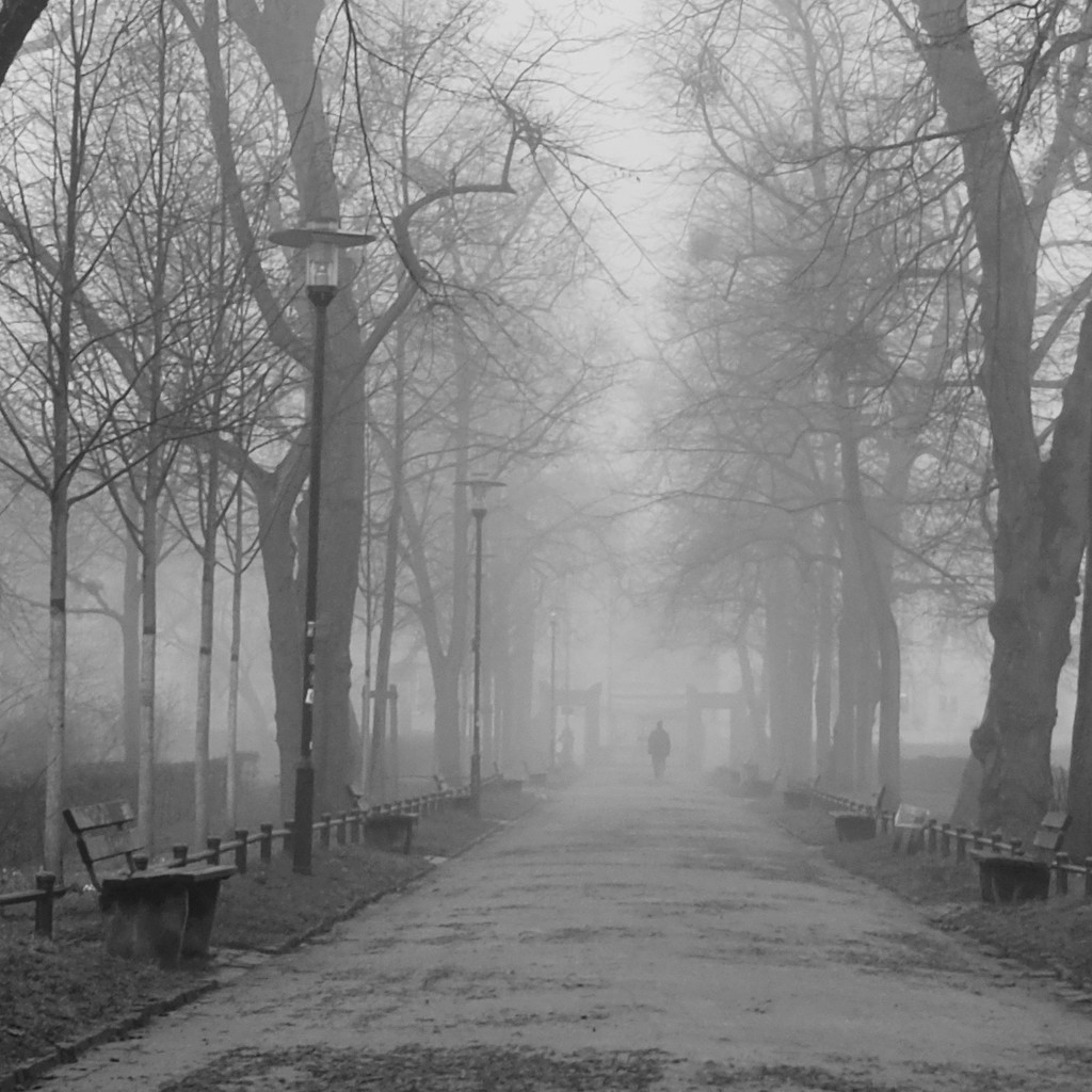Foggy morning (2) by vincent24