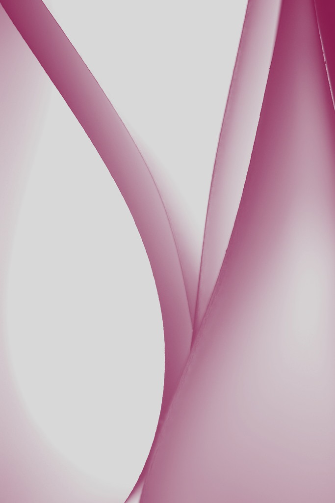 Pink Abstract by jayberg