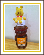 17th Feb 2018 - Winnie and Honey Bear