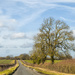 Country Lane by pamknowler