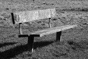 18th Feb 2018 - A lonely bench........