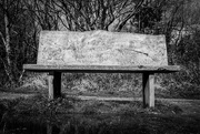 7th Feb 2018 - Another bench.......