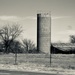 A feed silo in North Texas cattle country by louannwarren