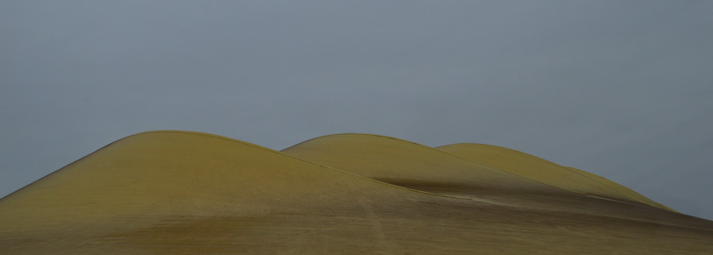 Dunes? by caterina