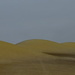 Dunes? by caterina