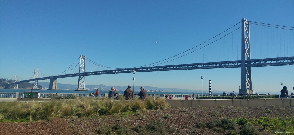 The San Francisco Bay Bridge by harbie