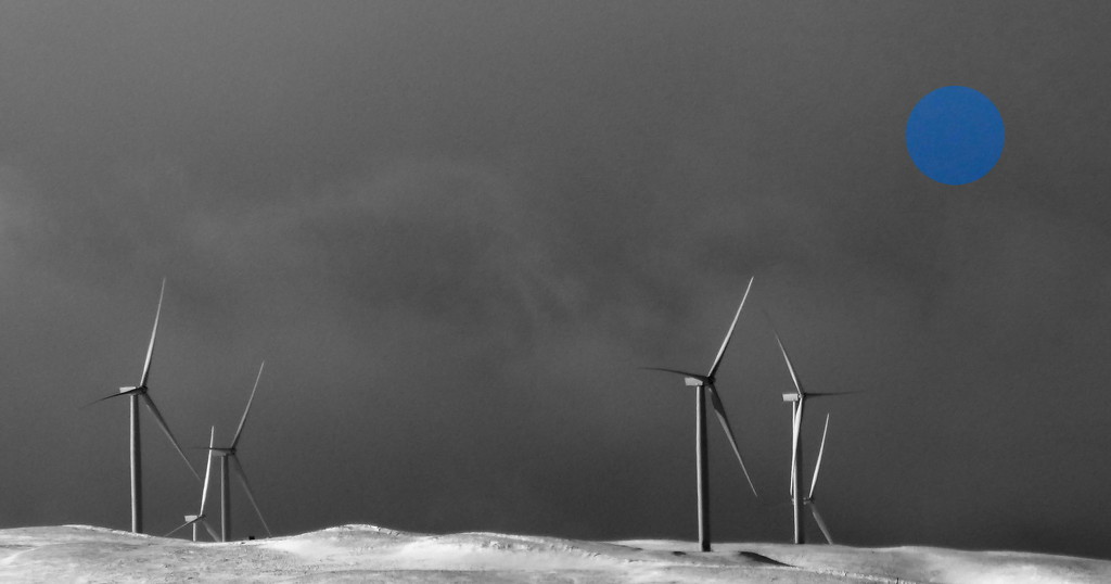 Sanquhar wind farm by steveandkerry