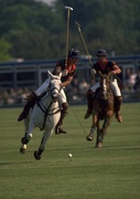 10th Apr 2019 - 100 Prince Charles Playing Polo in Windsor