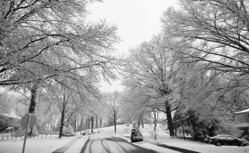 Snowy street by mittens