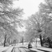 Snowy street by mittens