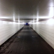 19th Feb 2018 - Shiny tunnel