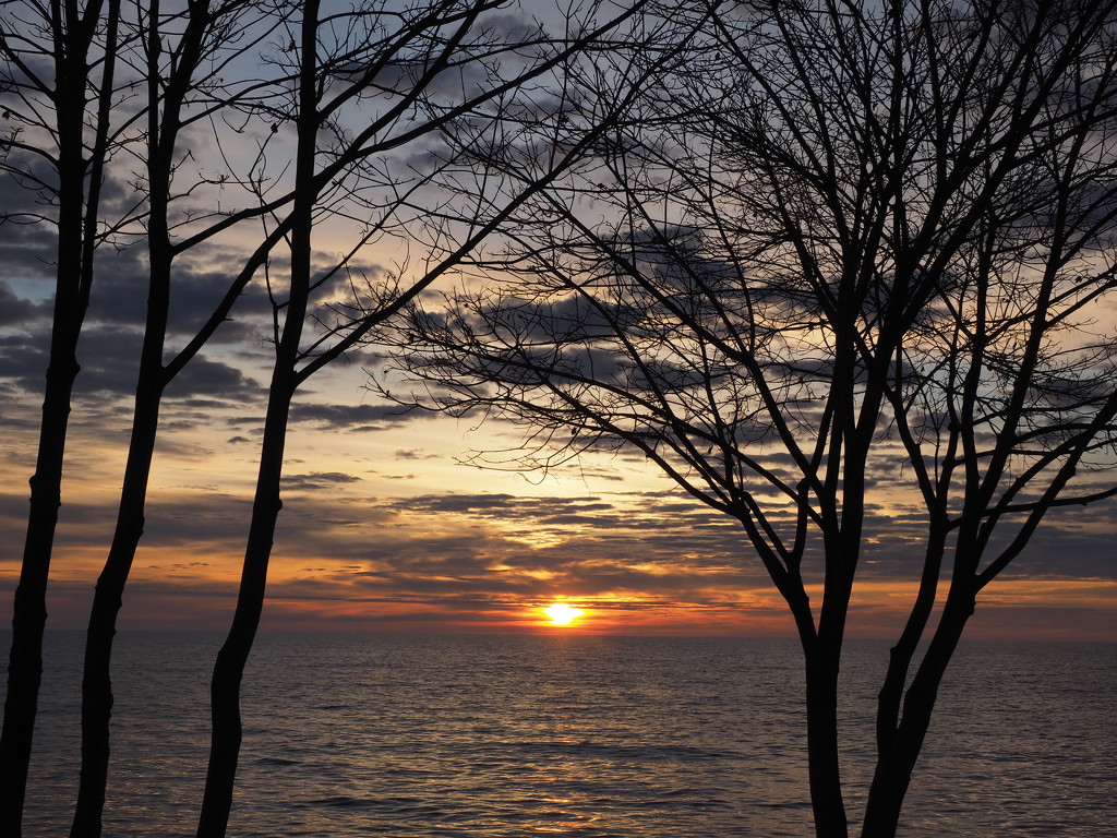 Trees and Clouds by selkie