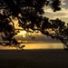 Sunset in New Zealand by shepherdmanswife