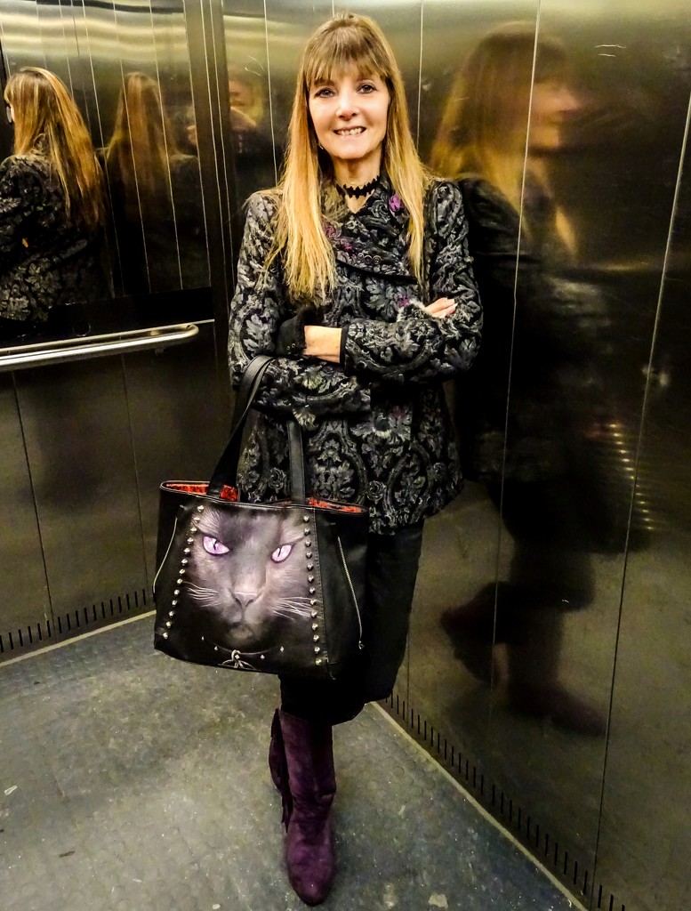 Kitty in a lift by swillinbillyflynn