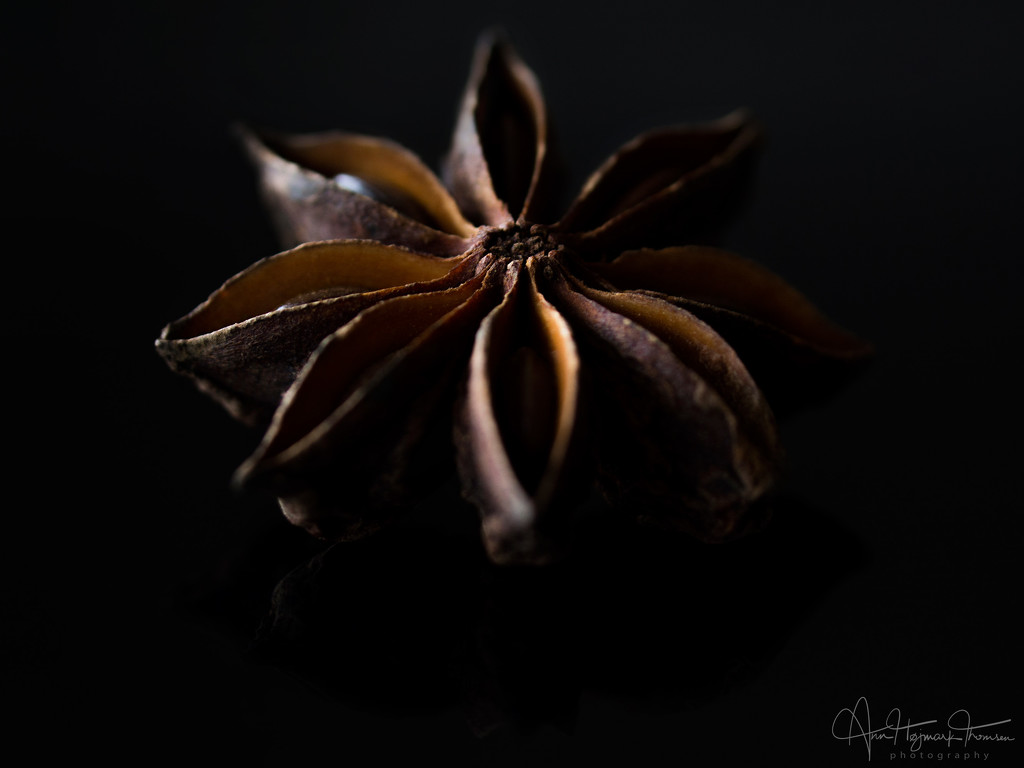 Star Anise… The Flu Fighter by atchoo