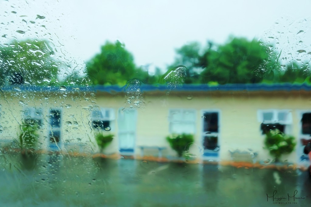 The Rain.. by maggiemae