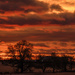 Lovely End of a Woefully Winter Day by kareenking
