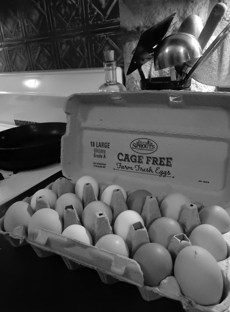 Cage Free by mcsiegle