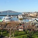 San Francisco Bay and Pier 39 by harbie