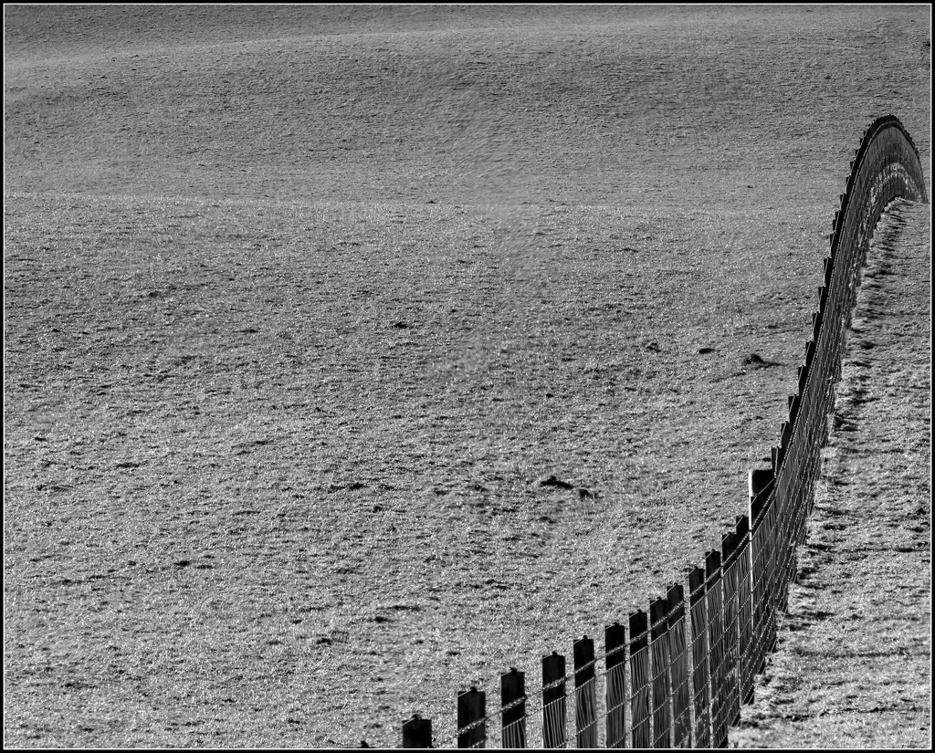 fence line by steveandkerry