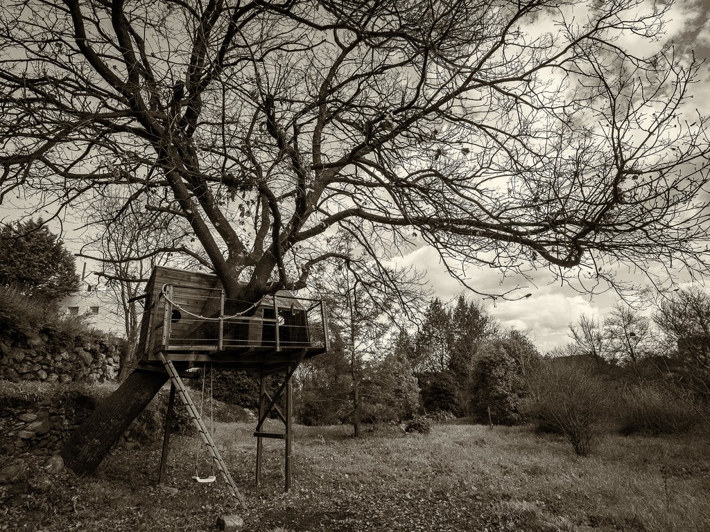 The treehouse by laroque